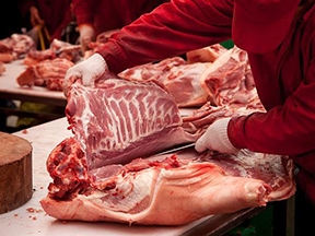 鲜肉批发零售